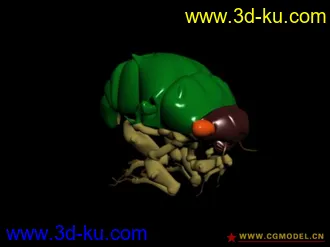 3D打印模型臭虫bug的图片