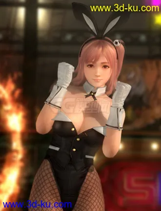 3D打印模型生或死5 穗乃果 / Honoka 可爱兔女郎 DOA5 性感丝袜黑丝兔女郎的图片