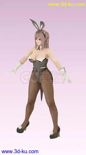 3D打印模型生或死5 穗乃果 / Honoka 可爱兔女郎 DOA5 性感丝袜黑丝兔女郎的图片