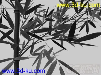 3D打印模型翠竹一截的图片