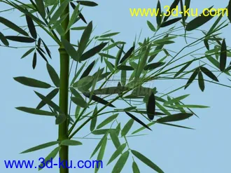 3D打印模型翠竹一截的图片