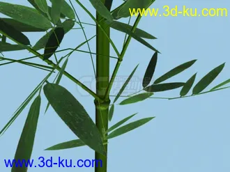 3D打印模型翠竹一截的图片