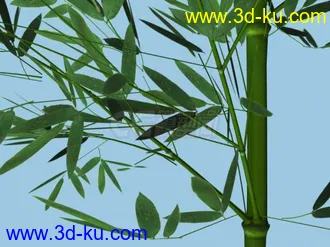 3D打印模型翠竹一截的图片