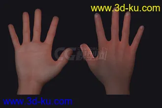 手模型材质贴图的图片