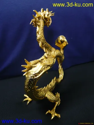 金龙超COOL模型的图片