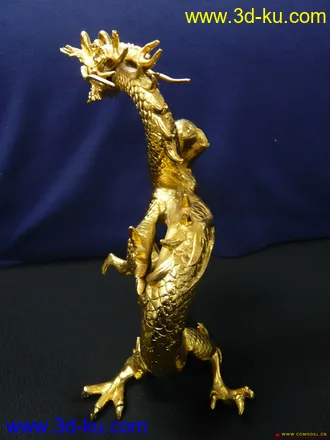 金龙超COOL模型的图片