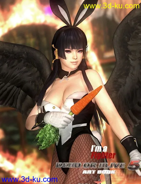 Nyotengu 性感兔女郎 性感网袜 性感御姐 性感丝袜 性感忍者 女天狗 DOA5 生与死5模型的图片2