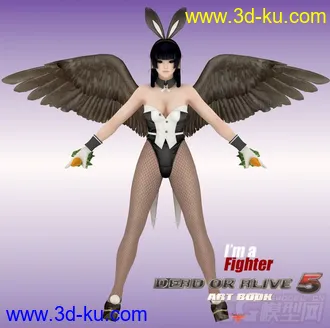 3D打印模型Nyotengu 性感兔女郎 性感网袜 性感御姐 性感丝袜 性感忍者 女天狗 DOA5 生与死5的图片