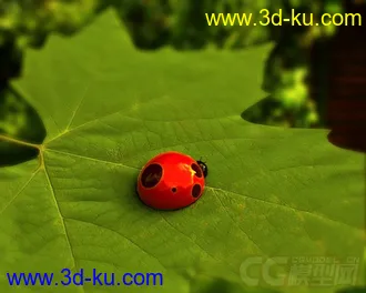 3D打印模型一只卡通的瓢虫的图片