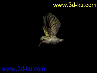 3D打印模型1400的蜂鸟有要的没？？刚做的的图片