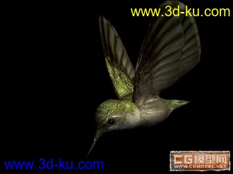 3D打印模型1400的蜂鸟有要的没？？刚做的的图片
