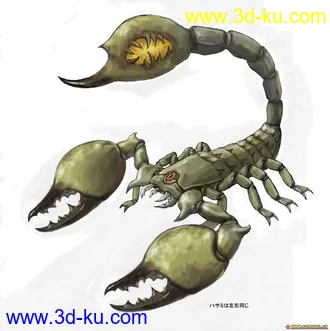 3D打印模型大虾将的图片