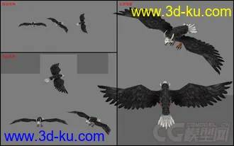 3D打印模型苍鹰，有贴图，有动画的图片