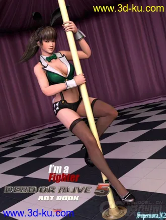 3D打印模型Hitomi 瞳 可爱兔女郎 性感兔女郎 酒吧侍女 酒吧女郎 性感丝袜女郎 性感网袜女郎的图片