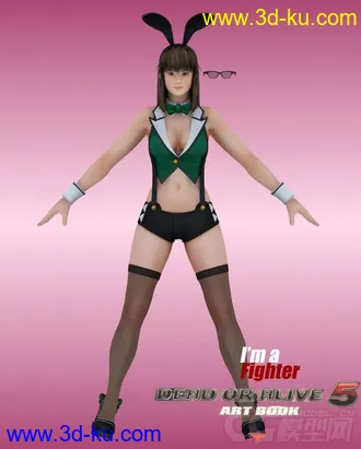 3D打印模型Hitomi 瞳 可爱兔女郎 性感兔女郎 酒吧侍女 酒吧女郎 性感丝袜女郎 性感网袜女郎的图片