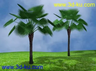 3D打印模型棕榈树的图片