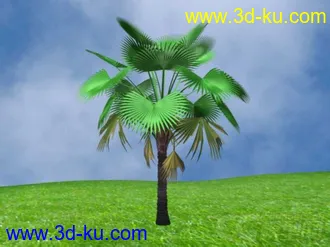 3D打印模型棕榈树的图片