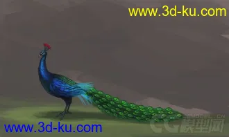 3D打印模型孔雀开屏 有贴图材质 动画的图片