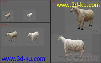 3D打印模型羊有 贴图材质 动画的图片