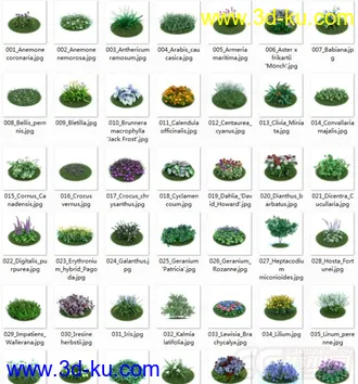 3D打印模型42棵超写实的植物，带材质的图片