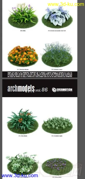 3D打印模型42棵超写实的植物，带材质的图片