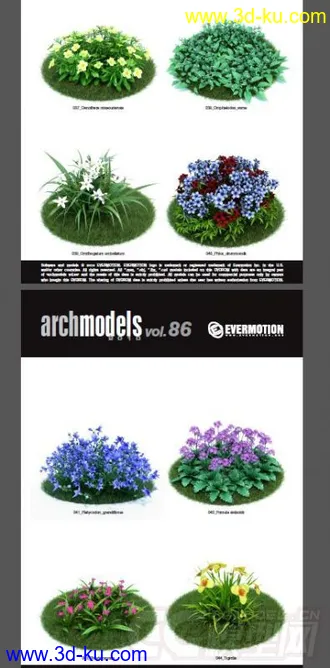 3D打印模型42棵超写实的植物，带材质的图片