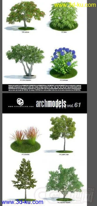 一套超写实花草模型，植物模型的图片