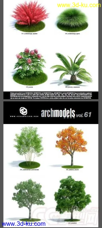 一套超写实花草模型，植物模型的图片