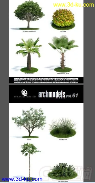 一套超写实花草模型，植物模型的图片