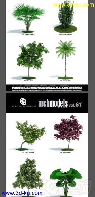 一套超写实花草模型，植物模型的图片