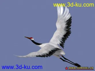 3D打印模型仙鹤。带骨骼带循环动画的仙鹤的图片