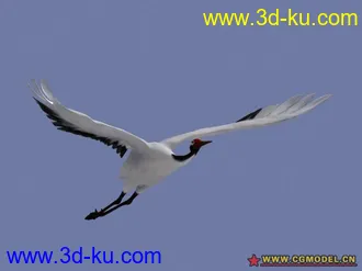 3D打印模型仙鹤。带骨骼带循环动画的仙鹤的图片