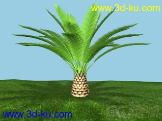 3D打印模型做了一颗海枣树的图片