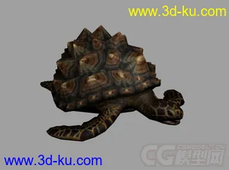 3D打印模型海龟 乌龟 长满背刺的海龟的图片
