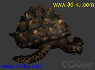 3D打印模型海龟 乌龟 长满背刺的海龟的图片