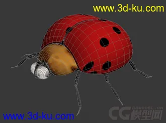 3D打印模型七星瓢虫 瓢虫 甲壳虫的图片