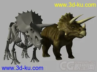 三角龙 恐龙 三角龙龙骨恐龙骨骼写实模型的图片