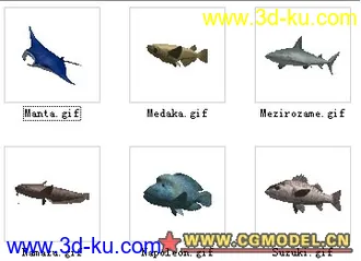 3D打印模型六种不同的鱼类的图片