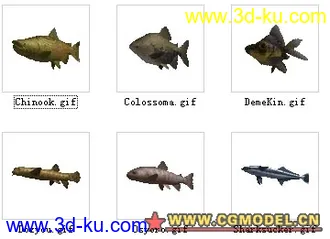 3D打印模型六种不同的鱼类的图片
