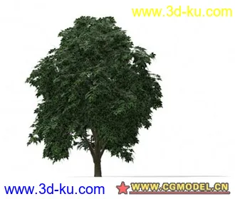 3D打印模型tree001的图片