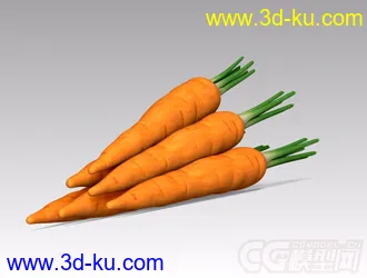 胡萝卜模型的图片