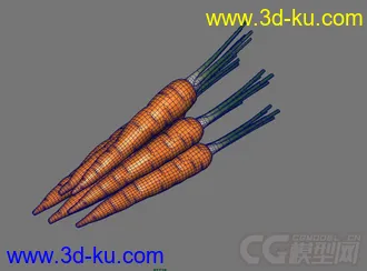 胡萝卜模型的图片