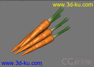 胡萝卜模型的图片
