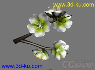 3D打印模型梅花盛开动画的图片