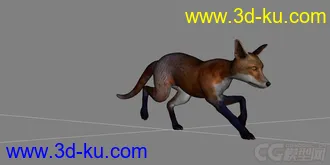 3D打印模型红狐 狐狸 写实狐狸的图片