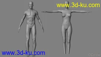 3D打印模型标准影视动画用男、女人体，可做动画，可以直接使用的图片