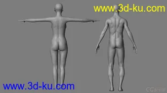 3D打印模型标准影视动画用男、女人体，可做动画，可以直接使用的图片