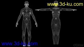 3D打印模型标准影视动画用男、女人体，可做动画，可以直接使用的图片
