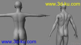 3D打印模型标准影视动画用男、女人体，可做动画，可以直接使用的图片