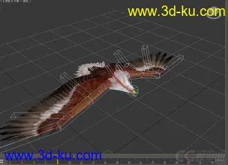 3D打印模型老鹰的图片